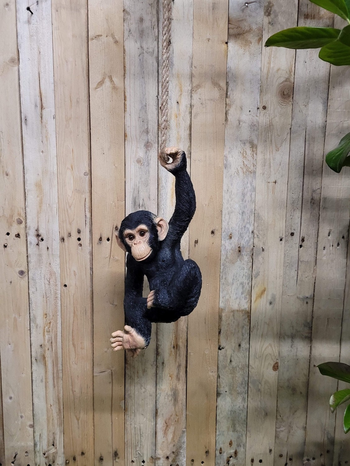 Monkey Statue for sale 95 ads for used Monkey Statues