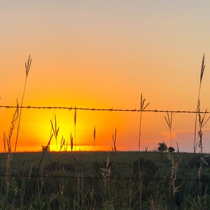 Molten prairie sunrise