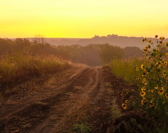 Landstraße Sonnenaufgang