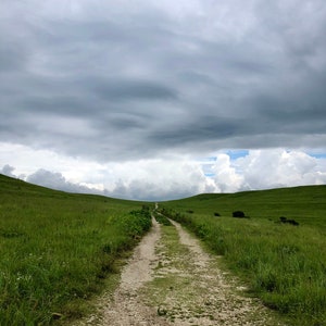 Stormy summer afternoon