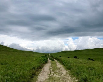 Stürmischer Sommernachmittag