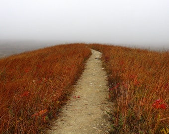 Herbst-Weg