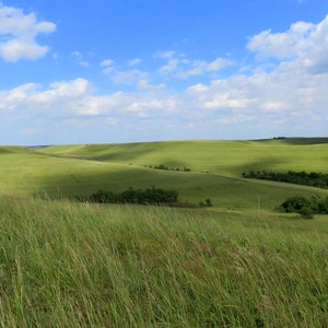 Green Flint Hills