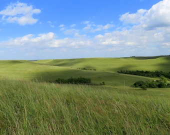 Green Flint Hills