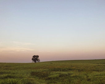 Peace on Lone Tree Prairie