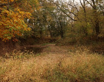 Adam es Creek
