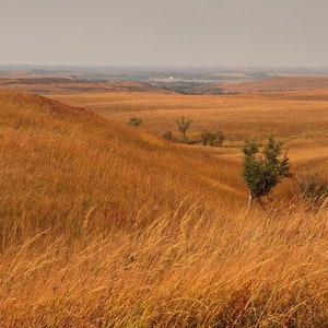 Autumn Tallgrass Prairie