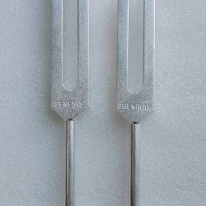 Skinha und Genesis stimmgabel+ 528 hz stimmgabel frei