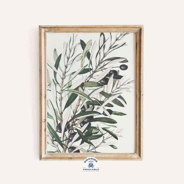 Olive Branch Farmhouse Etsy