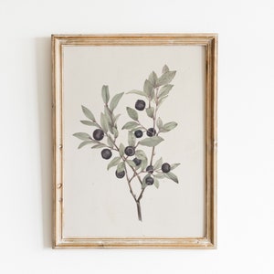 Vintage Flower Prints, Neutral Tones Prints, , Neutral Wall Art, Wall Decor Vintage Botanical Prints, Blueberry Painting, Drawing, Muted