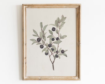Vintage Flower Prints, Neutral Tones Prints, , Neutral Wall Art, Wall Decor Vintage Botanical Prints, Blueberry Painting, Drawing, Muted