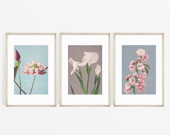 Vintage Botanical Prints, Botanical Wall Art, Flower Wall Art, Floral Wall Art, Botanical Set of 3, Rustic Farmhouse, Vintage Flowers Print