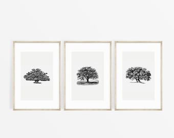 Tree Etch , tree Drawing, Tree Sketch Art Print, Vintage Art Print, Tree Wall Art, Wall Decor, Printable, Digital Download