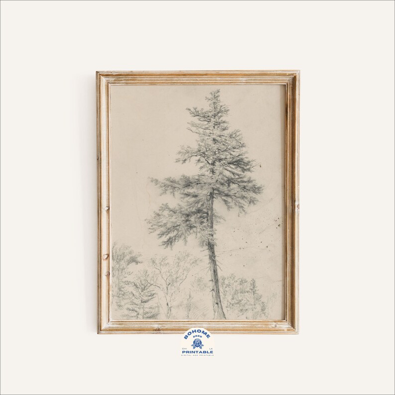 Tree Drawing Tree Sketch Art Print Vintage Art Print Etsy