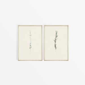 Botanical Wall Art, Modern Farmhouse Wall Decor, Gallery Wall, Set of 2, Set of TWO, Minimalist, Printable Art, Eucalyptus Digital Download image 2