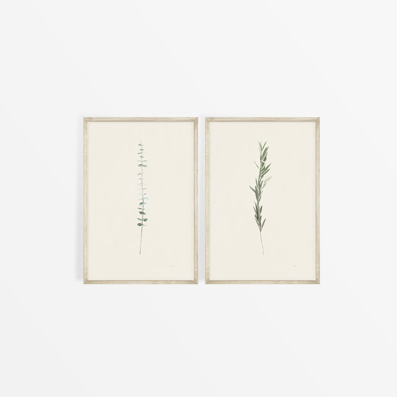 May include: Two framed botanical prints, one with a sprig of eucalyptus and the other with a sprig of rosemary, both on a white background.