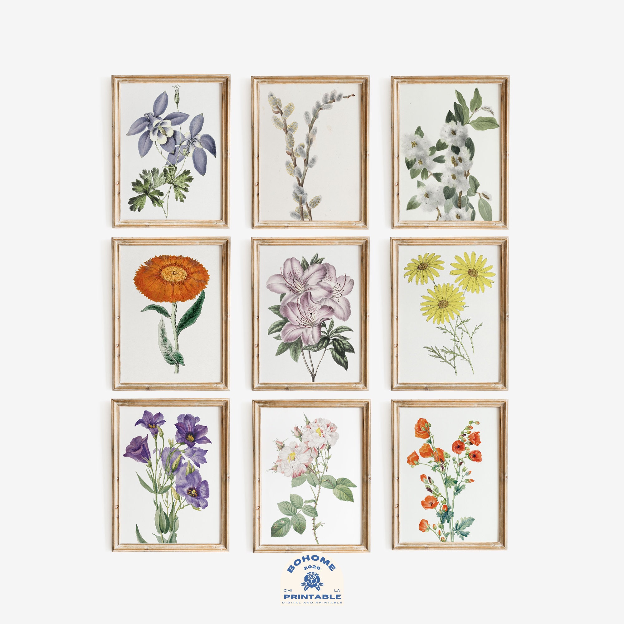 Vintage Botanical Art Wall, Flower Gallery Wall Art Print, Antique ...