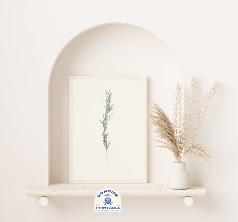 May include: A framed botanical print of a single sprig of rosemary on a white background. The print is displayed on a white shelf with a vase of dried pampas grass.