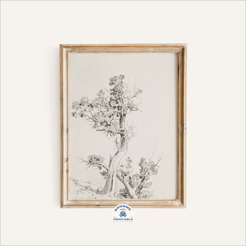 Tree Drawing Tree Sketch Art Print Vintage Art Print Etsy