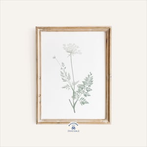 Neutral Wall Art, Botanical Art Prints, Wall Art, Wall Decor, Baby&#39;s breath Flower, Botanical Wall Art, Printable, Digital Download