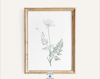 Neutral Wall Art, Botanical Art Prints, Wall Art, Wall Decor, Baby's breath Flower, Botanical Wall Art, Printable, Digital Download