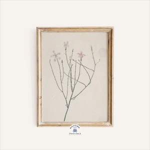 Neutral Wall Art, Botanical Art Prints, Wall Art, Wall Decor, Verbena Flower, Purple, Botanical Wall Art, Printable, Digital Download