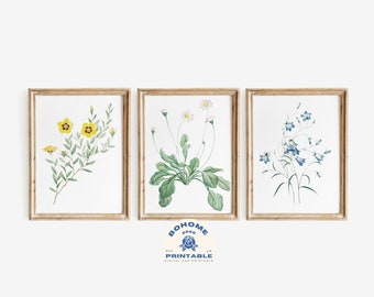 vintage Botanical Art Wall, Flower Gallery Wall Art Print, Antique Botanical Art, Wall Art, Printable, Digital Download, Farmhouse Wall Art
