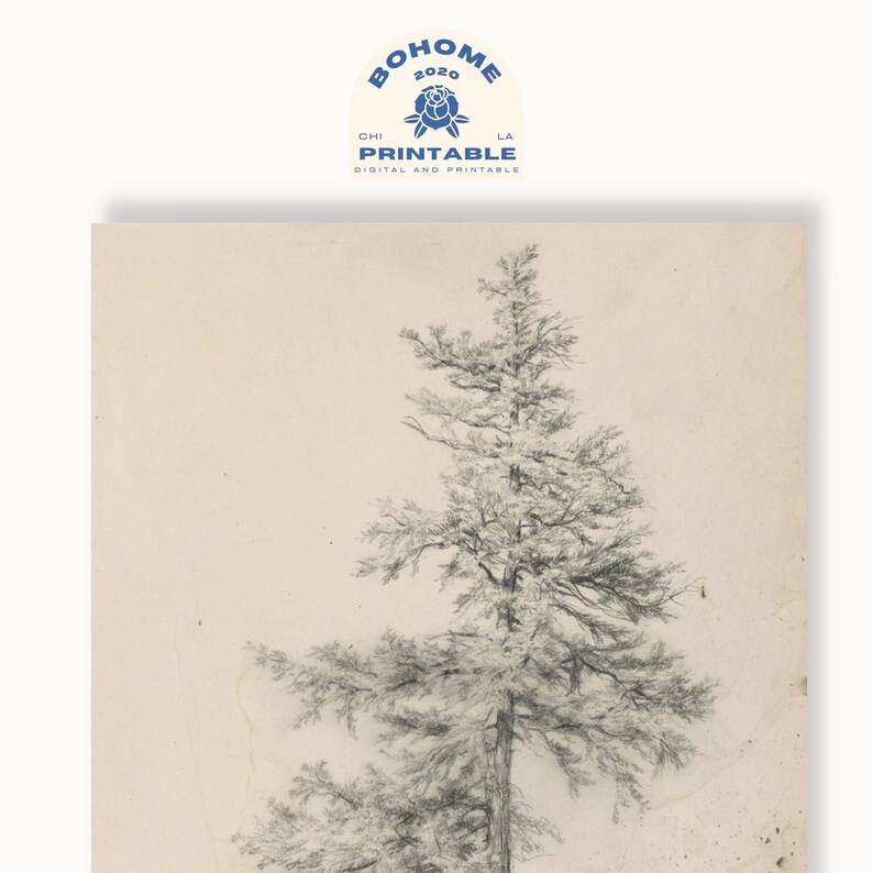 Tree Drawing Tree Sketch Art Print Vintage Art Print Etsy