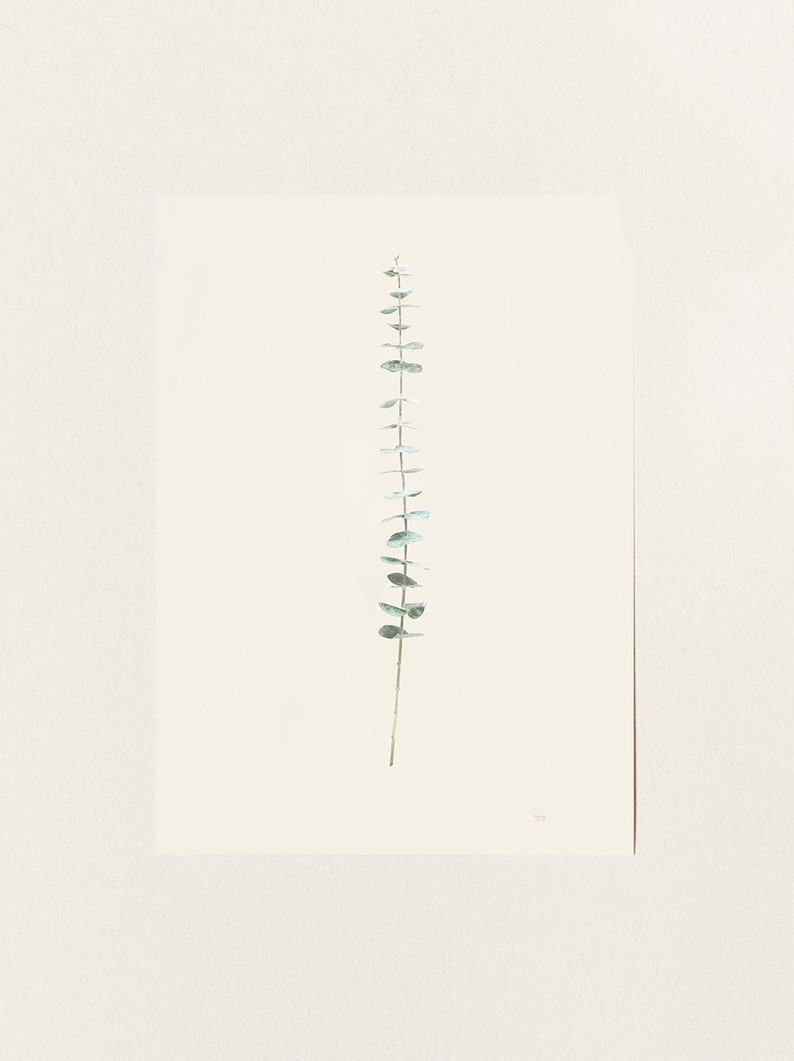 May include: A watercolour painting of a single sprig of eucalyptus with green leaves on a white background.