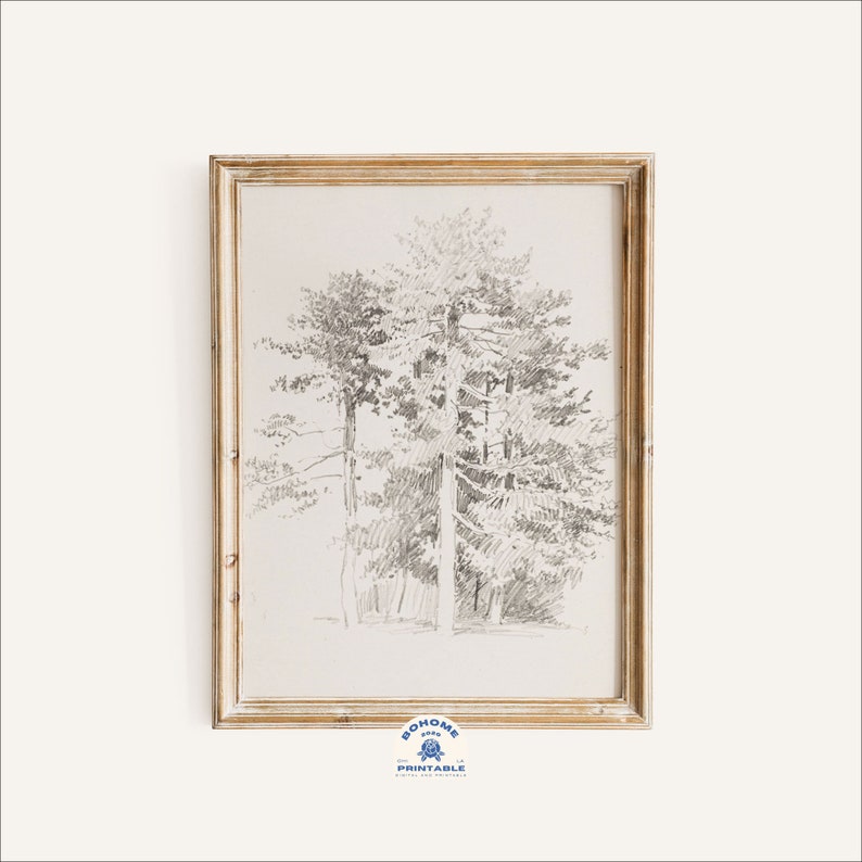 Tree Drawing Tree Sketch Art Print Vintage Art Print Etsy