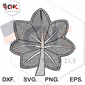 May include: Black and white line art illustration of a five-pointed star with a detailed design. The star is a common symbol used in the military.