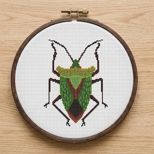 May include: A cross-stitch embroidery of a green and brown insect, framed in a round wooden hoop. The insect has a detailed design with a green body, brown legs, and antennae. The background is white, and the hoop is a dark brown color.