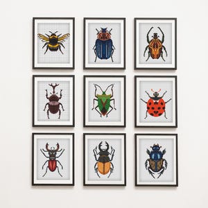Beetles Cross Stitch Pattern Set: Insect Embroidery (Instant PDF Download)