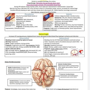 May include: A diagram of the human brain with red lines showing the arteries that are affected by different types of stroke. The diagram is labeled with the names of the arteries and the types of stroke that affect them. The diagram also includes information about the symptoms, causes, and prognosis of each type of stroke.