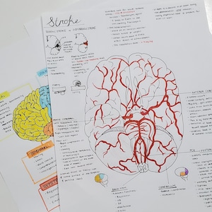 AVC et ses séquelles - Notes manuscrites