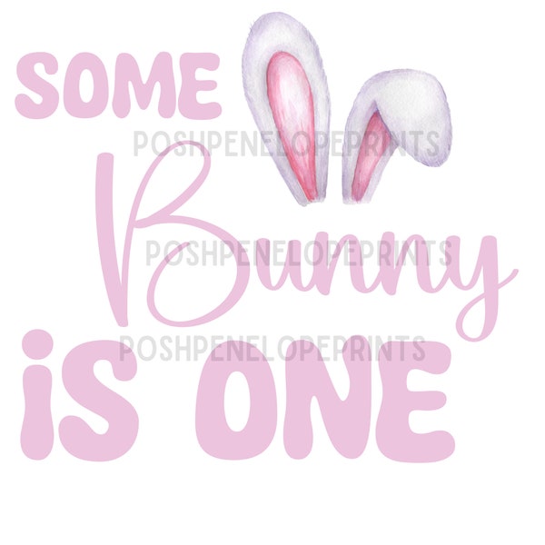 Some Bunny is one PNG/SVG bunny themed birthday shirt Easter birthday First birthday bunny theme. cute toddler theme party