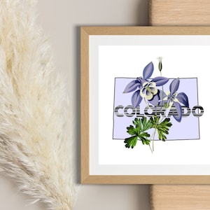 Digital Artwork, Colorado State Flower Digital Download