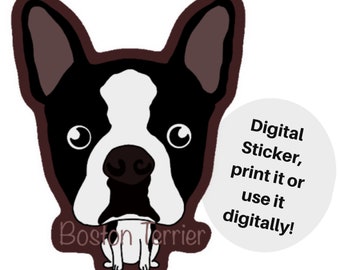 Digital Sticker, Boston Terrier Sticker, Dog Sticker