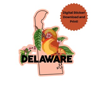 Delaware Sticker l Digital Sticker Download l State Sticker