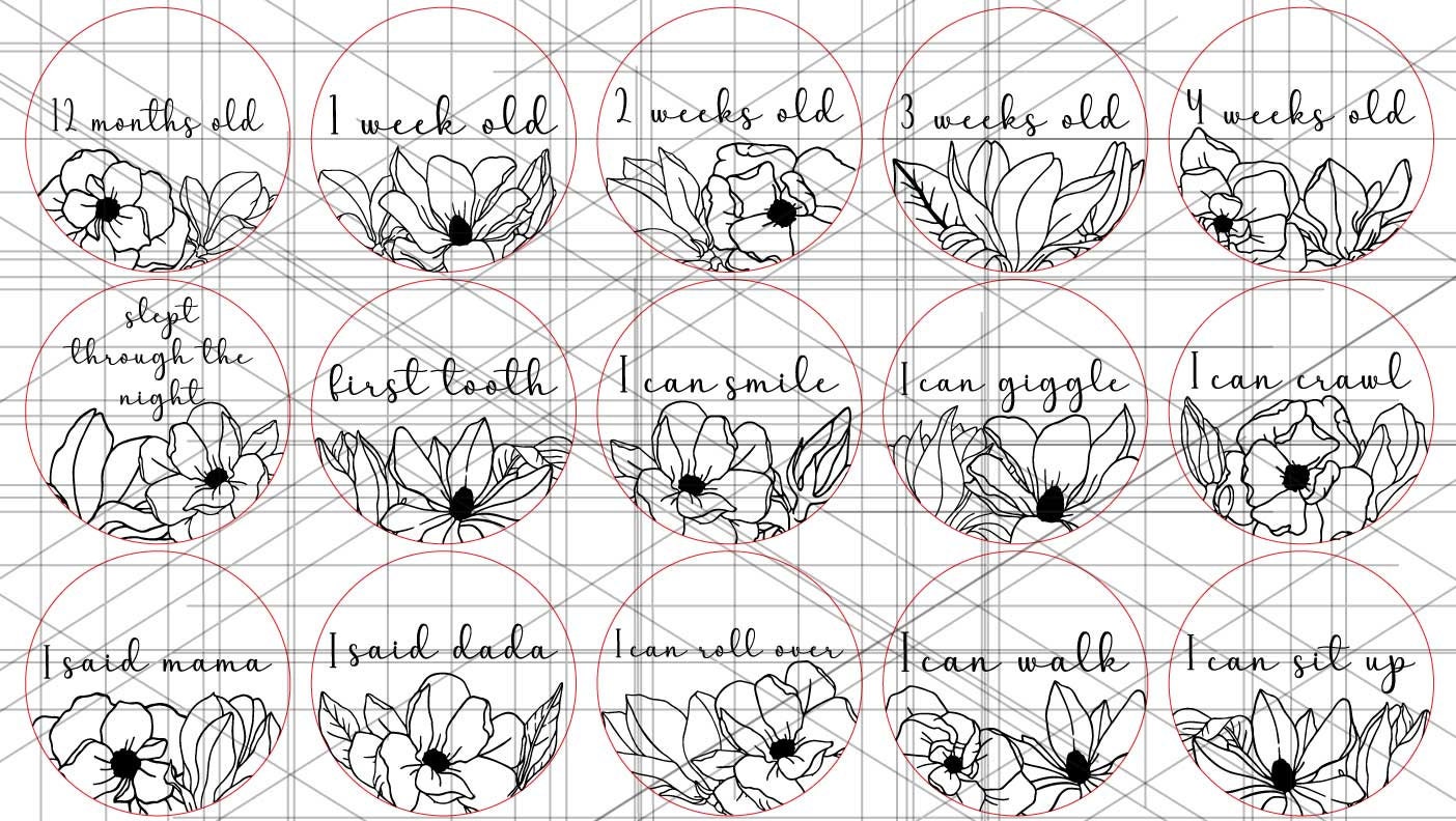 45 Magnolia Baby Monthly Milestone and Holiday Photo Markers - Etsy
