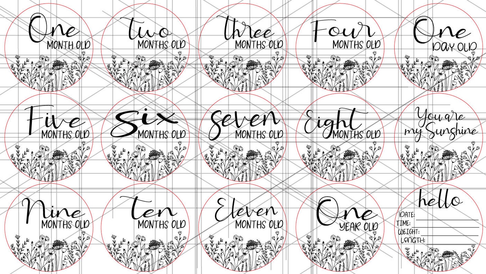 Wildflower Baby Monthly Milestone and Holiday Photo Markers | Digital ...