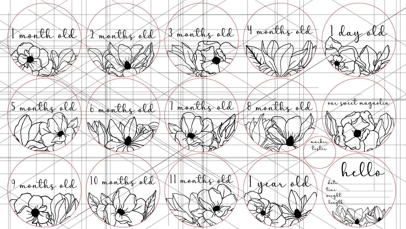 45 Magnolia Baby Monthly Milestone and Holiday Photo Markers ...