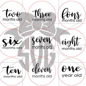 Baby Monthly Milestone and Holiday Photo Markers Digital Cut - Etsy