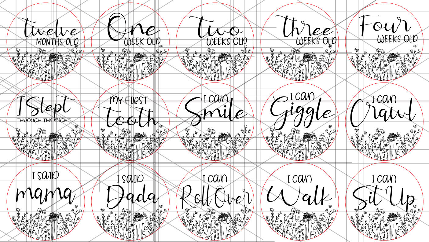 Wildflower Baby Monthly Milestone and Holiday Photo Markers | Digital ...