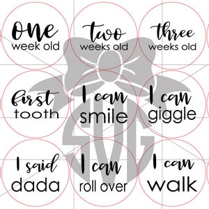 Baby Monthly Milestone and Holiday Photo Markers Digital Cut - Etsy
