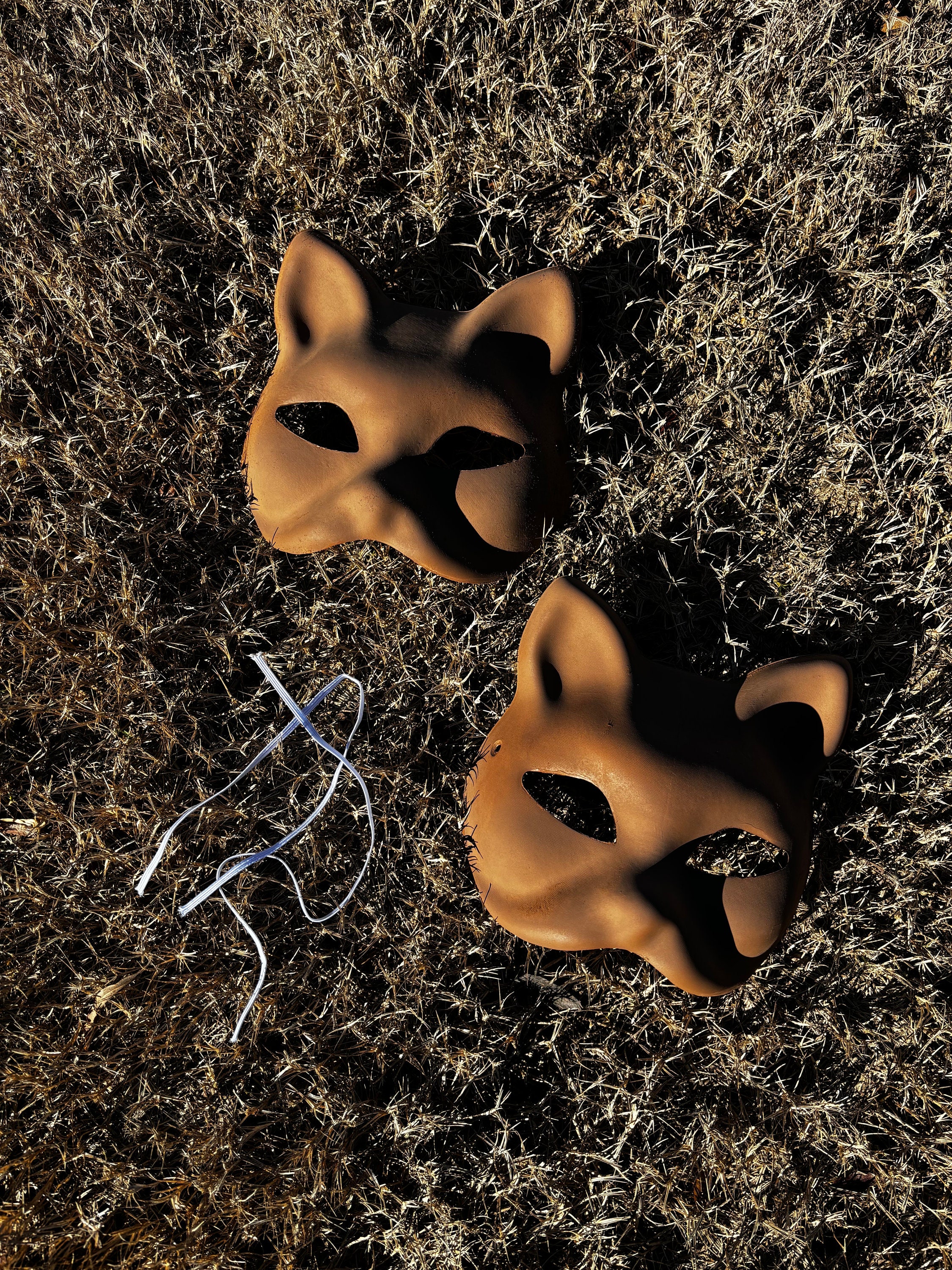 Therian Cat Mask Set of Two Painted Brown 