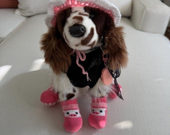 essa pink explorer spaniel dog