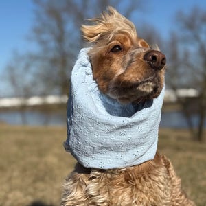 Pastelblauwe hondensjaal van ademende mousseline | Katoenen zomersjaal cocker-spaniël | Basset | Afghaans | Cavalier | Zetter | Springer-oorkussentjes