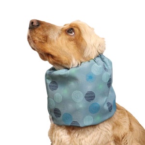 May include: A golden brown dog wearing a blue and green patterned recovery collar. The collar is designed to prevent the dog from licking or scratching a wound.
