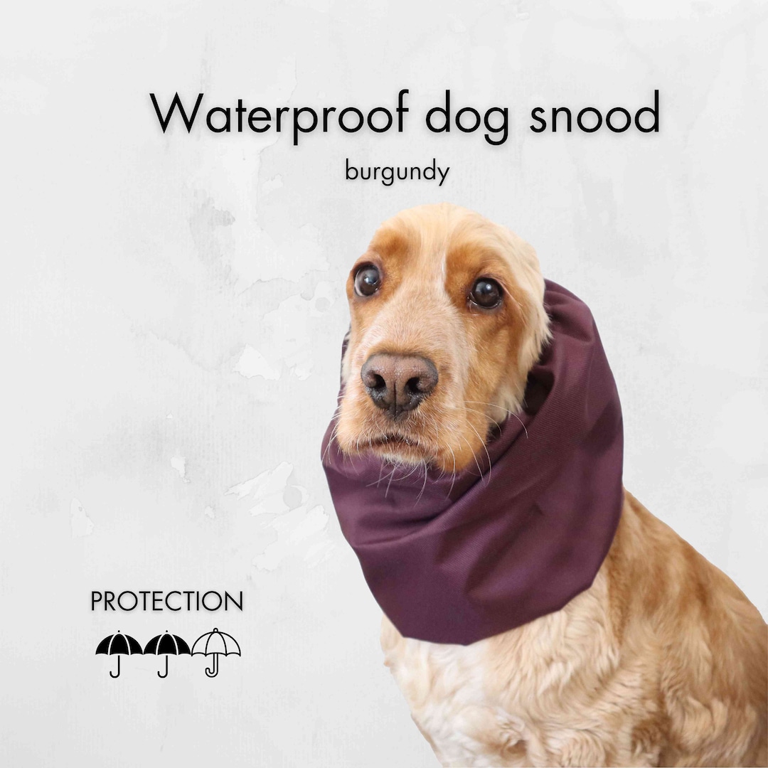 Burgundy Waterproof Dog Snood Cocker Snood Cavalier Ear Cover Basset